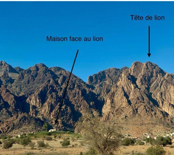 Maison Face Au Lion ทาเฟราสท์ ภายนอก รูปภาพ